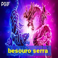 besouro serra-pau morde